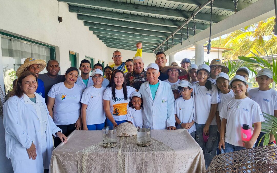 Conservación marina es impulsada con liberación de caballitos de Mar en Venezuela