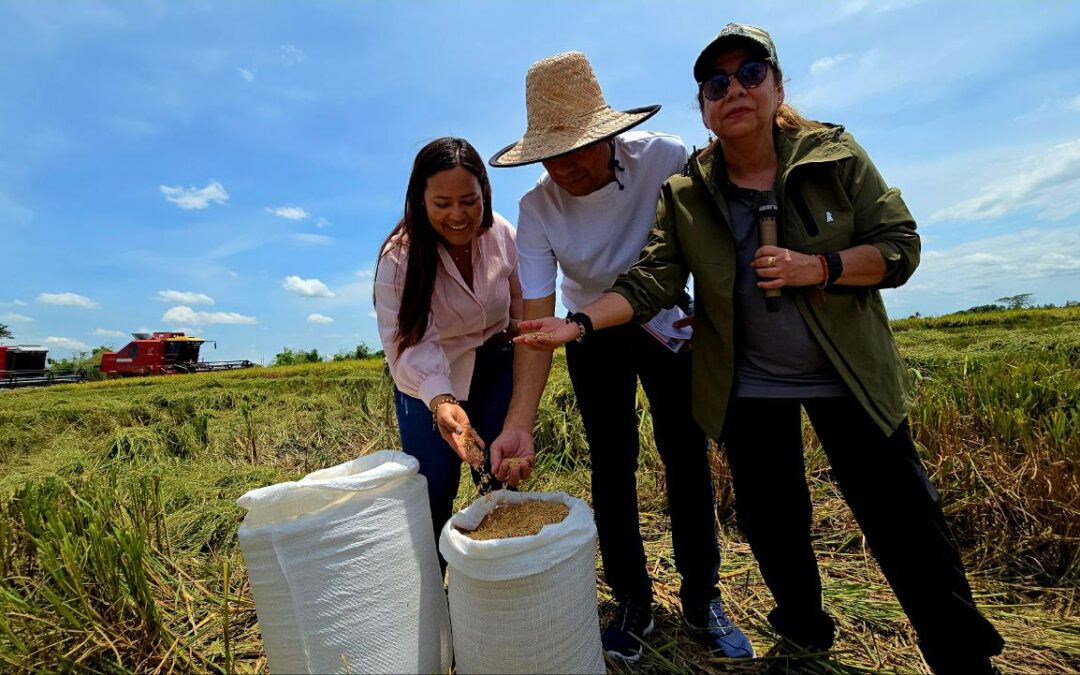 5 mil kg de arroz blanco listo para el consumo nacional desde el estado Portuguesa