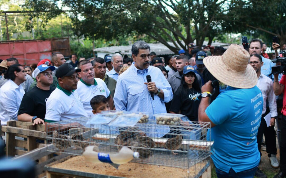 Presidente Maduro: “El crecimiento económico venezolano depende de la capacidad productiva del pueblo”